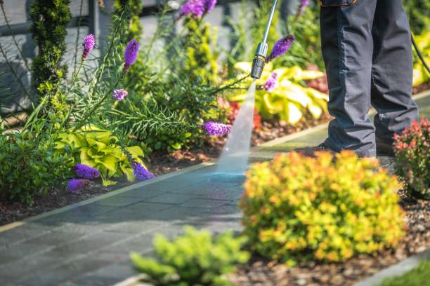 Professional Pressure Washing Services in Kahaluu Keauhou, HI